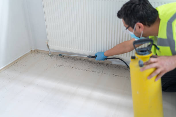 Best Insect Control  in Sinton, TX